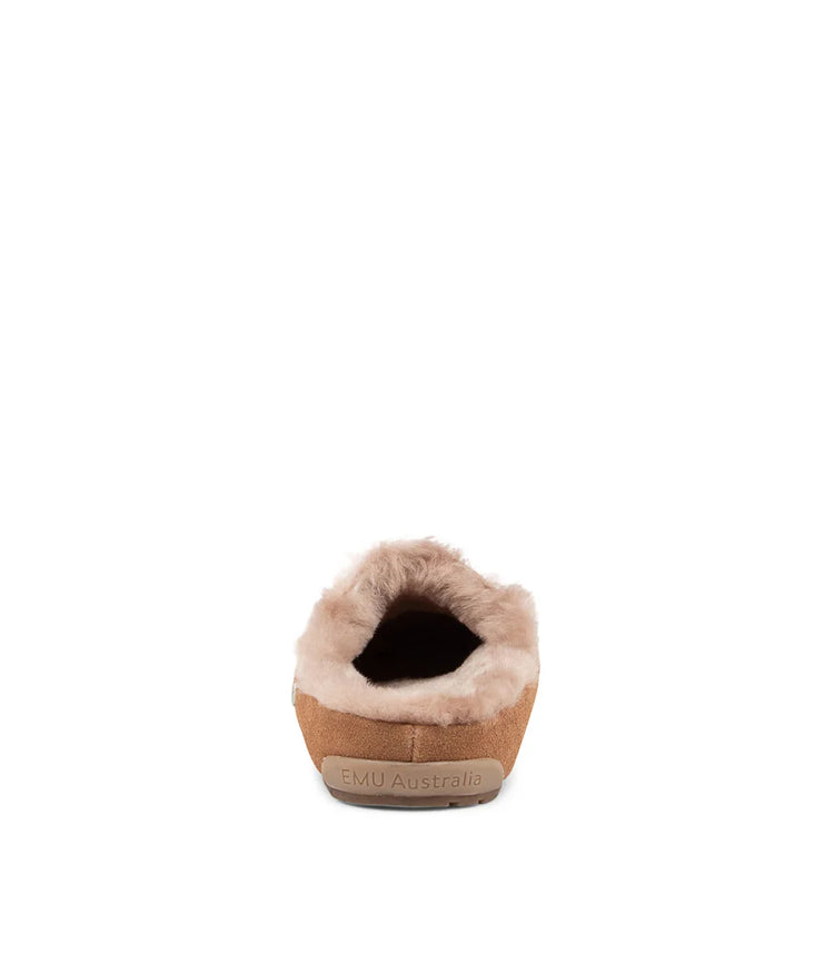 Monch | Camel