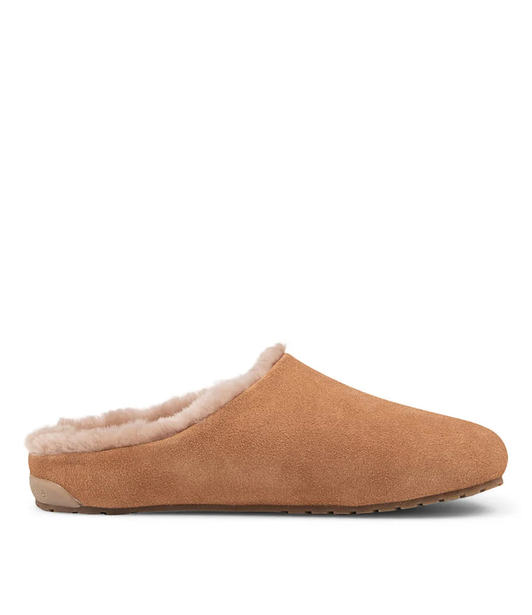 Monch | Camel