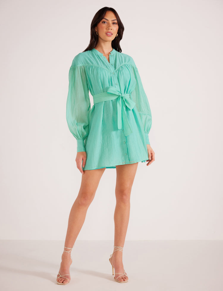 Lucie Mini Dress