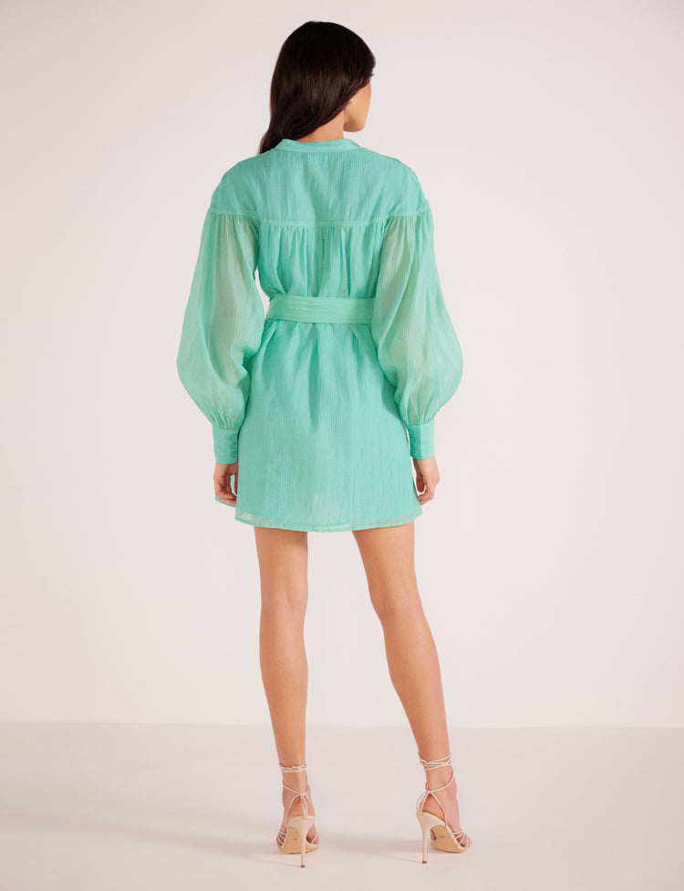 Lucie Mini Dress