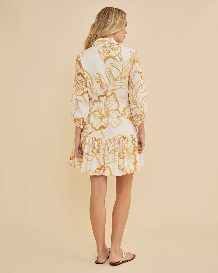 Rosemallow Collared Mini Dress