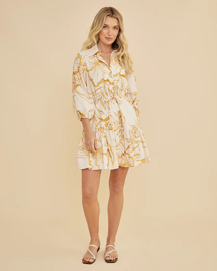 Rosemallow Collared Mini Dress