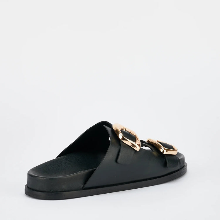 San Jose | Black Gold
