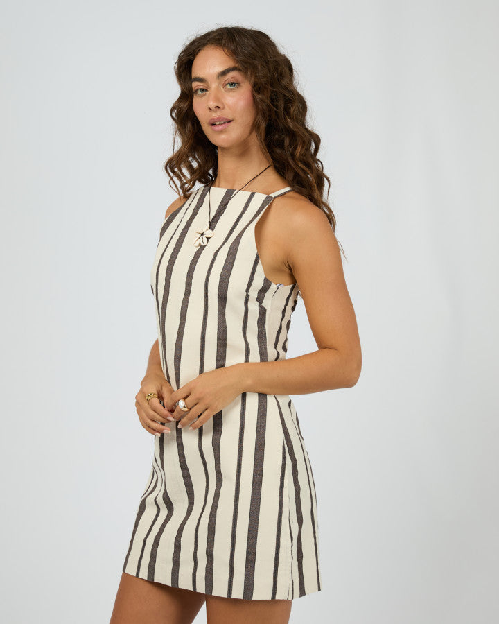 Rosa Stripe Mini Dress