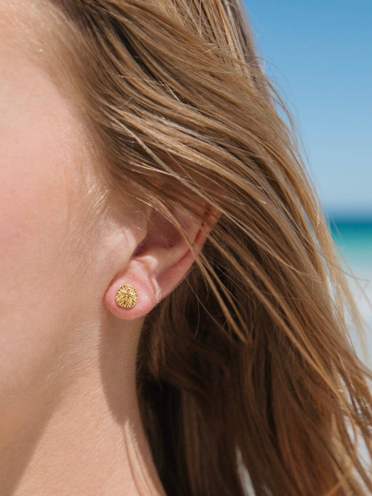 Sand Dollar Studs in 18k Gold Vermeil