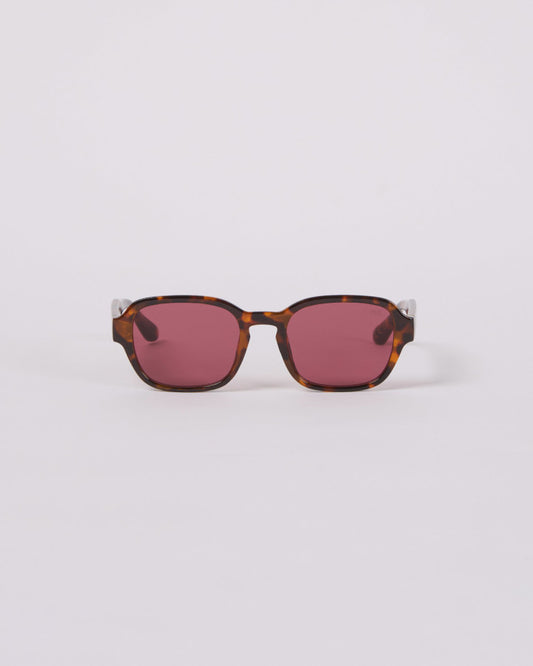Maja Sunglasses | Tortoise