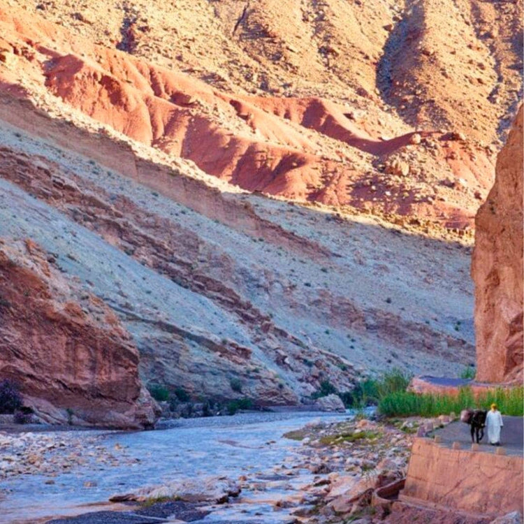 Argan Oil, 100% Organic