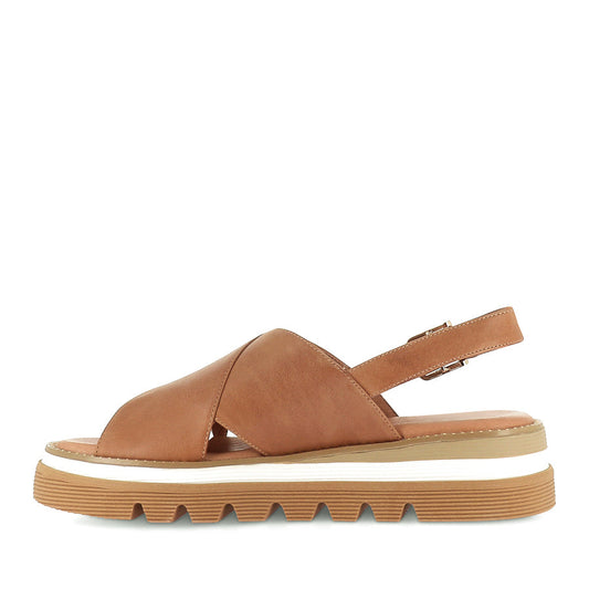 Sasi | Dk Tan