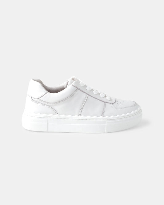 Houston Leather Sneaker | White