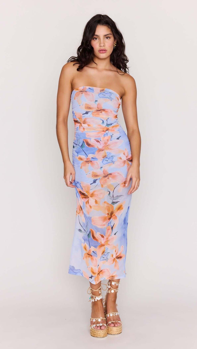 Sunspell Mesh Midi Dress