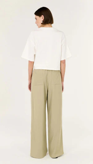 Dion Pant