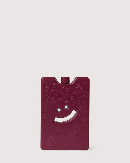 Large Ice Brick | Burgundy