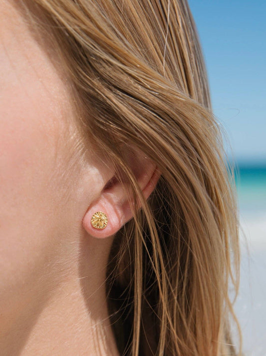 Sand Dollar Studs in 18k Gold Vermeil