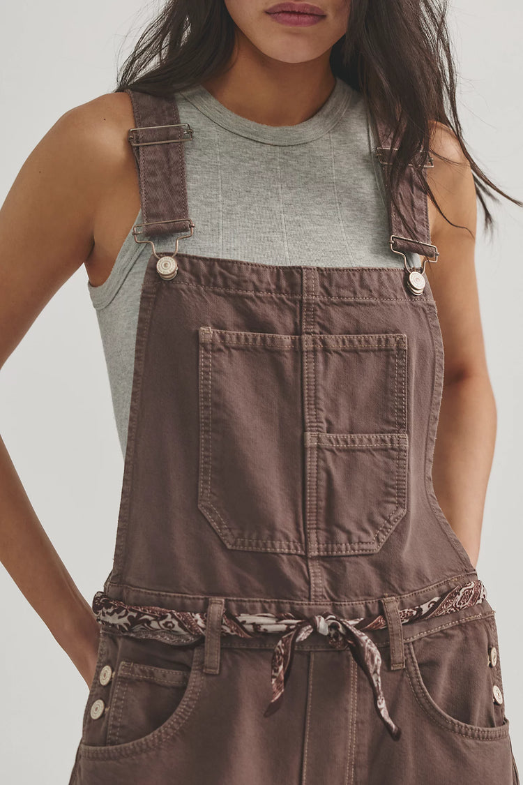 We The free Good Luck Barrel Leg Overalls | Chocolate Mousse